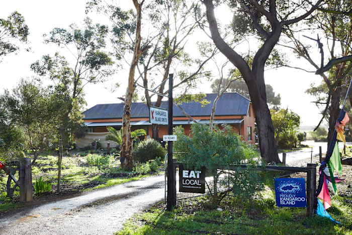 KISpirits_ 15 - GALLERY.jpg